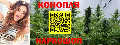 индика Кулебаки