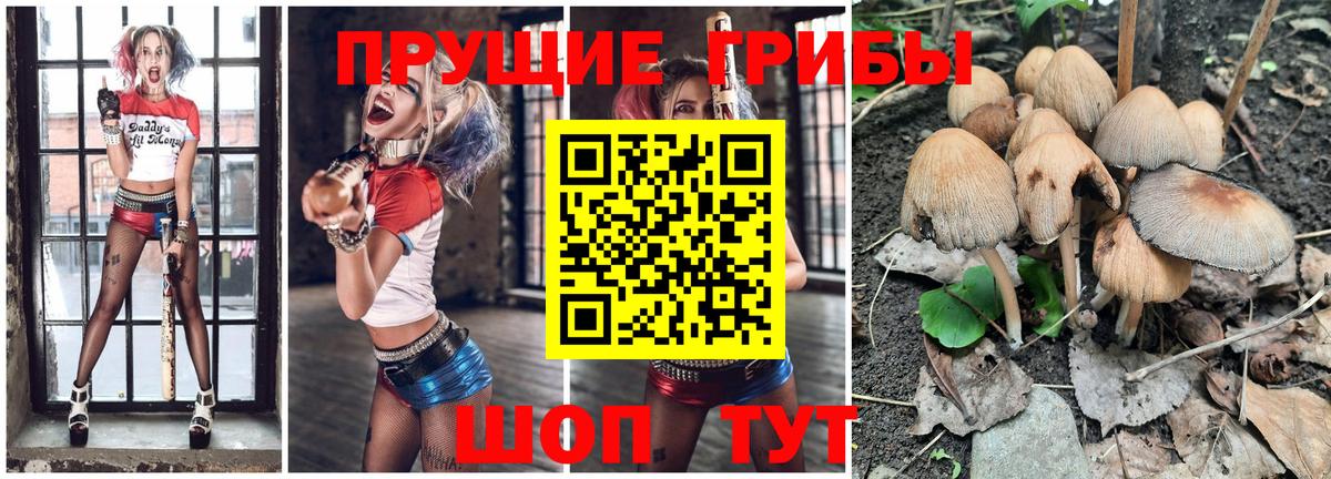 Псилоцибиновые грибы прущие грибы  Галлюциногенные грибы ЛСД  Вход с VPN  Звенигород 