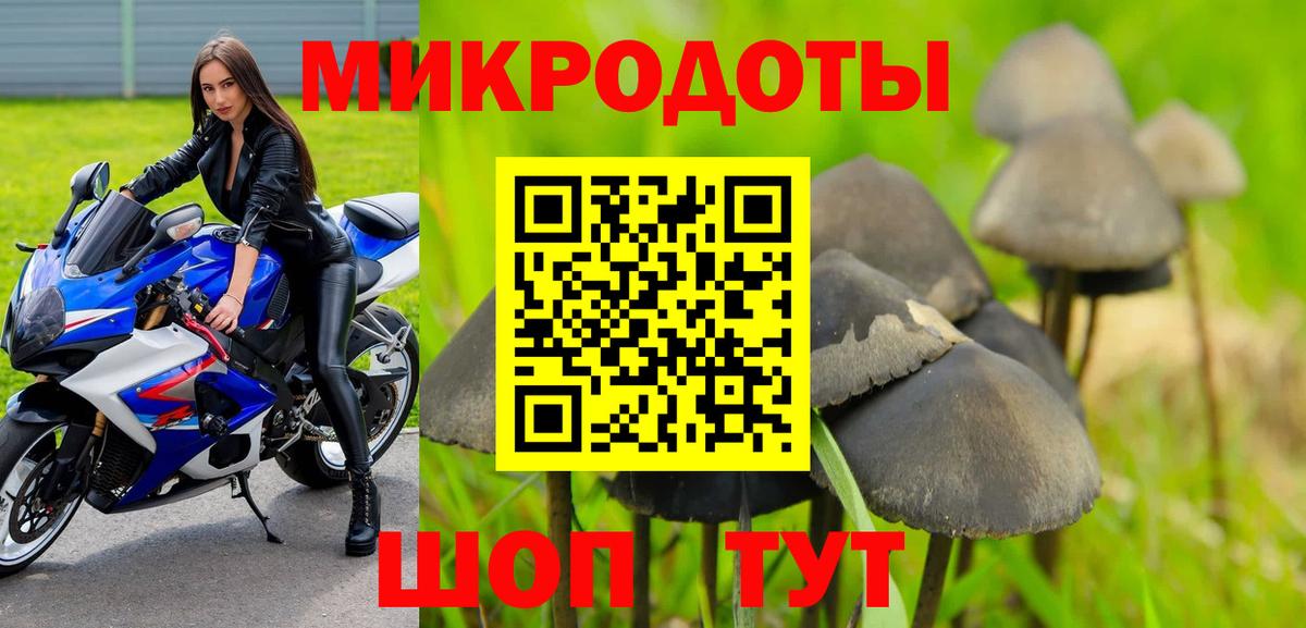 Псилоцибиновые грибы прущие грибы Звенигород